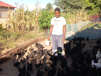 Chicken farmer