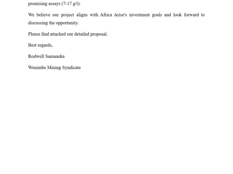 Wenimbe Mining Syndicate,
