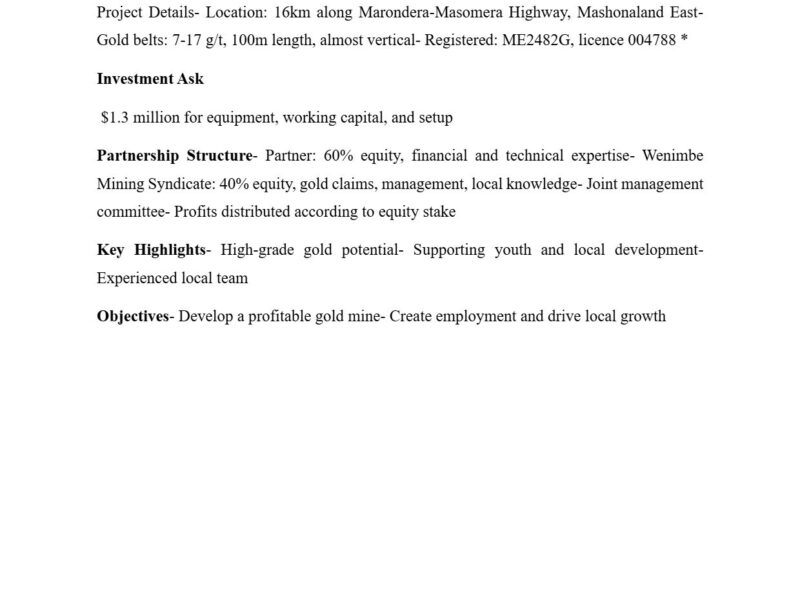 Wenimbe Mining Syndicate,