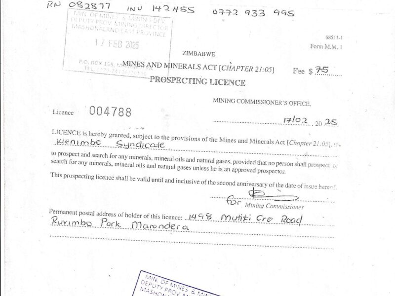 Wenimbe Mining Syndicate,