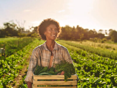 Agri Processing